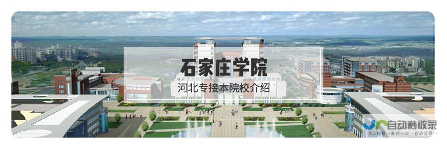 石家庄专业的网站建设服务：定制化方案，满足不同需求